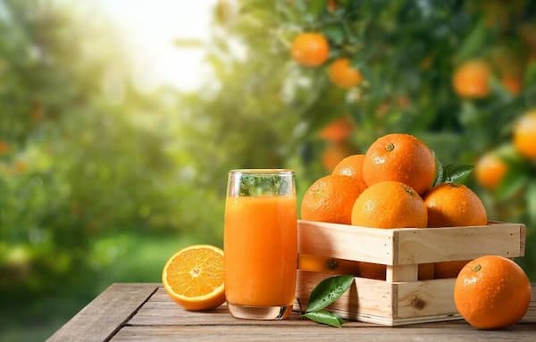 تصویر 4 از قیمت آبمیوه طبیعی پرتقال با کیفیت ارزان + خرید عمده